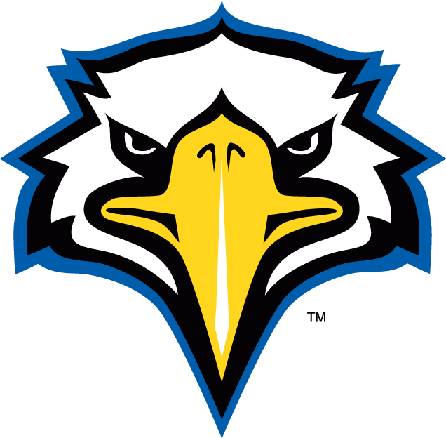 Morehead State Eagles 2005-Pres Secondary Logo 02 iron on paper